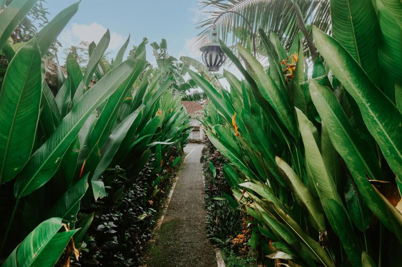 Anggira Villa Ubud Luaran gambar